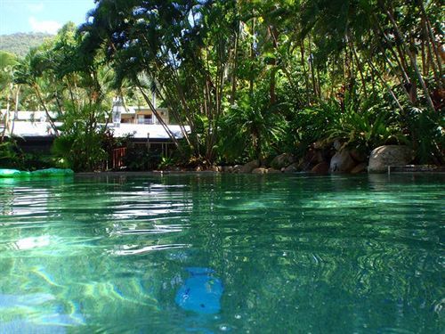 Turtle Cove - Adults Only Lgbtqia & Allies Resort Wangetti