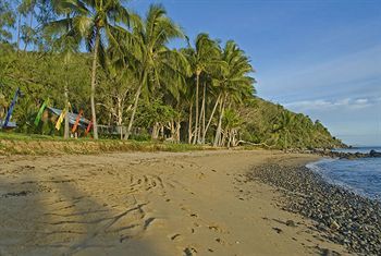 Turtle Cove - Adults Only Lgbtqia & Allies Resort