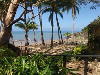 Turtle Cove - Adults Only Lgbtqia & Allies 4* Wangetti
