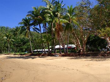 Turtle Cove - Adults Only Lgbtqia & Allies 4*