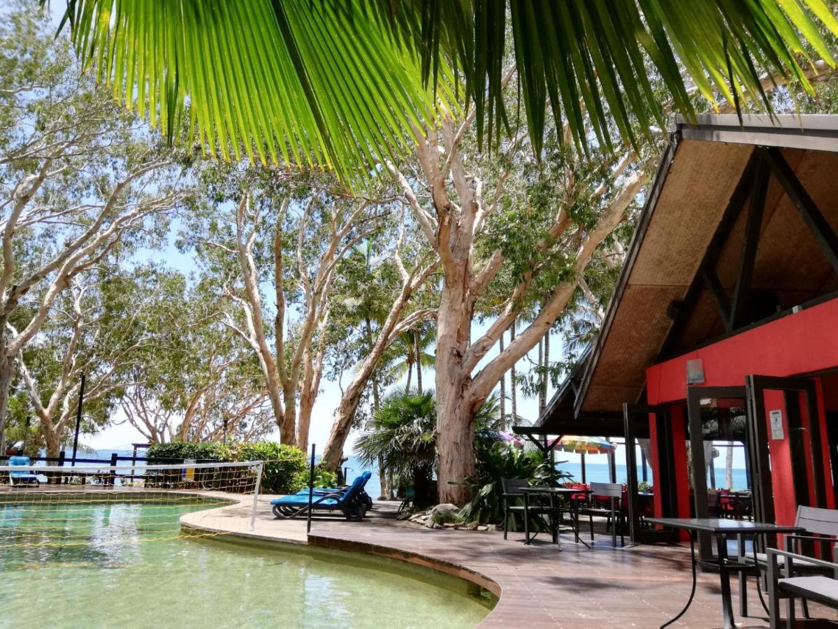 Turtle Cove - Adults Only Lgbtqia & Allies Resort